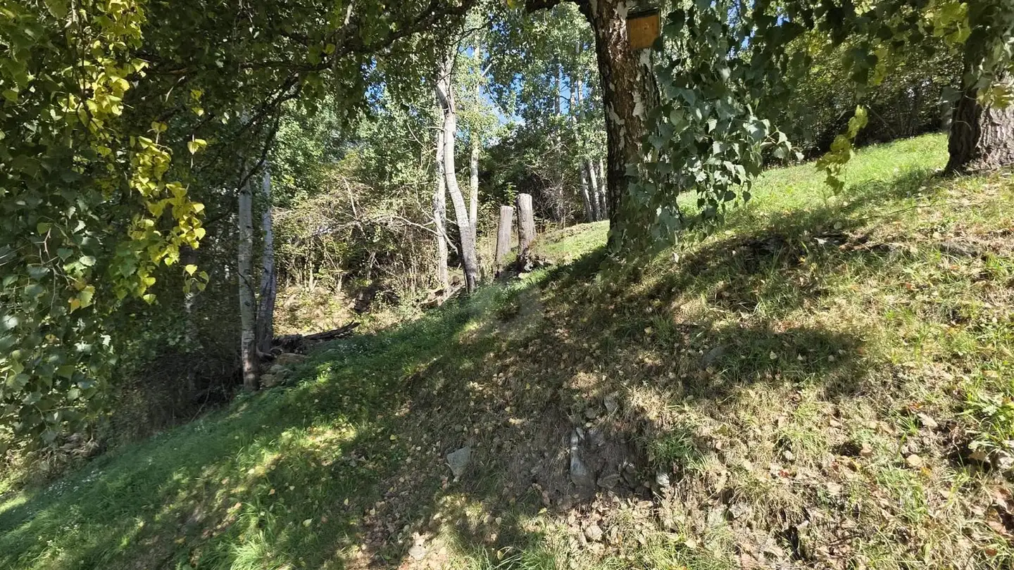 Terreno edificabile in vendita - 6760 Carì - Foto 4