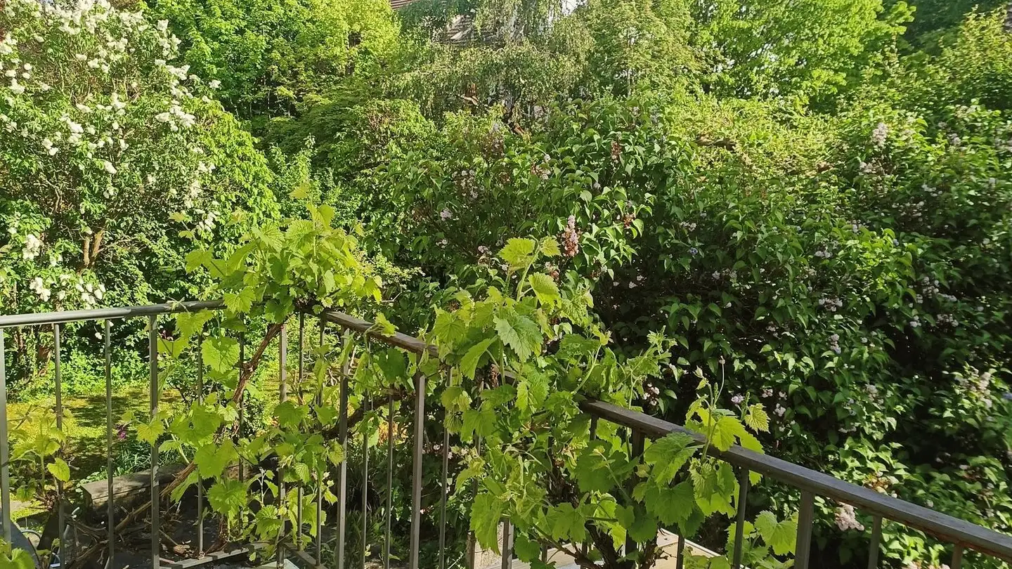 Row house for sale - Schildknechtstrasse 4, 3006 Bern - Photo 4