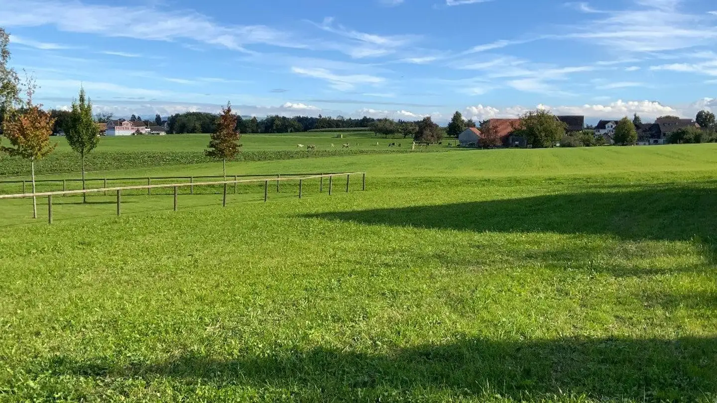 Constructible plot for sale - Buchzelg, 9217 Neukirch an der Thur