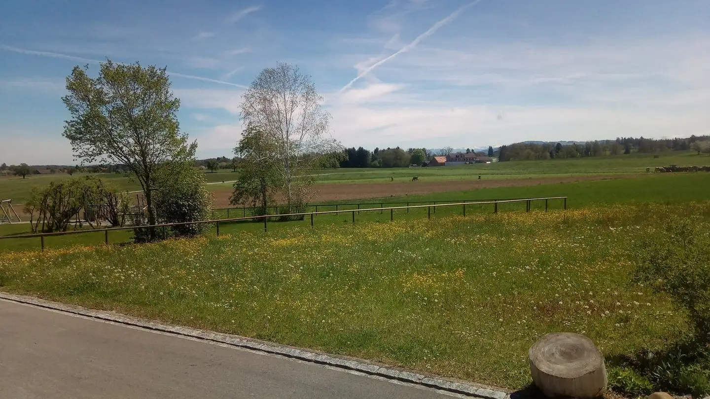 Terreno edificabile in vendita - Buchzelg, 9217 Neukirch an der Thur - Photo 4