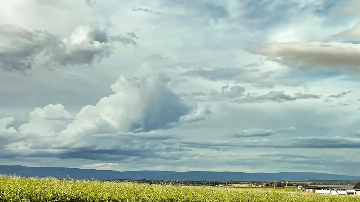 Single house for sale - 1562 Corcelles-près-Payerne - Photo 3