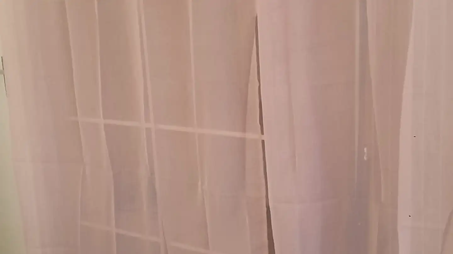 Single room for rent - 1208 Genève - Photo 3