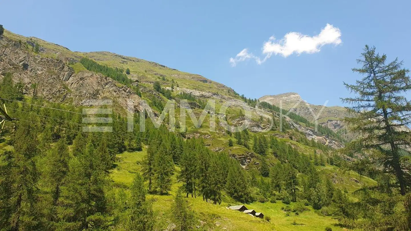 Bauland kaufen - 3920 Zermatt - Foto 4