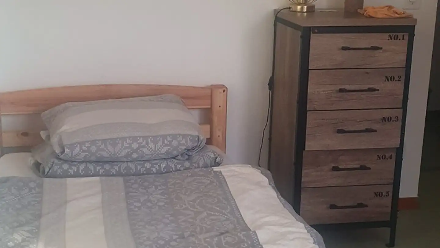 Single room for rent - 1208 Genève - Photo 2