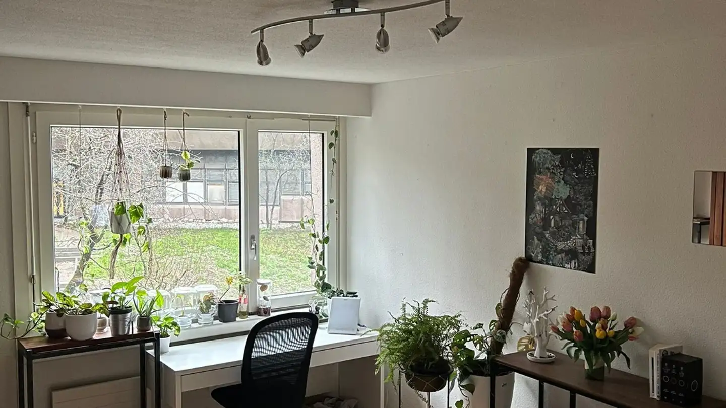 Appartamento in affitto - Wannerstrasse 39, 8045 Zürich