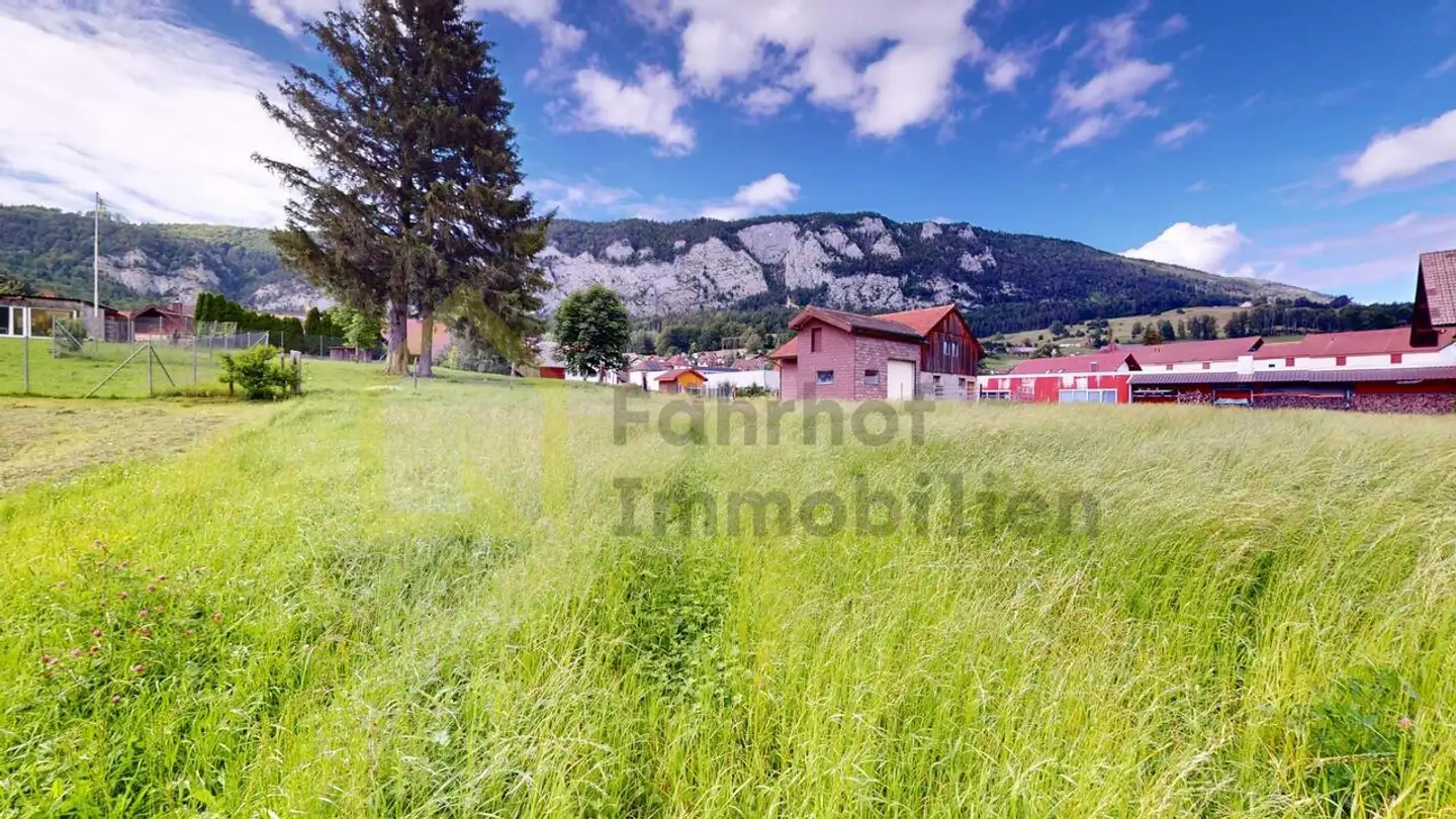Immobilie kaufen - Hauptstrasse, 4716 Welschenrohr - Foto 4