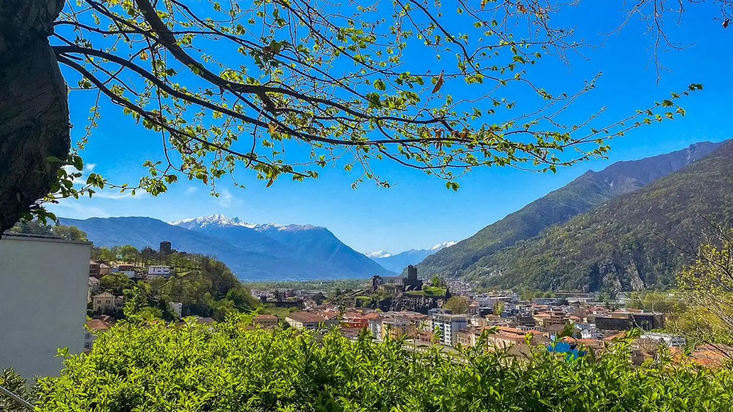 Casa singola in vendita - Via Malmera, 6500 Bellinzona