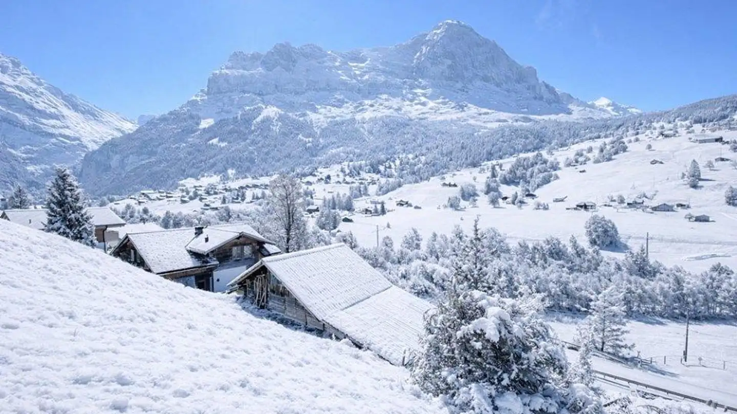 Terreno edificabile in vendita - 3818 Grindelwald