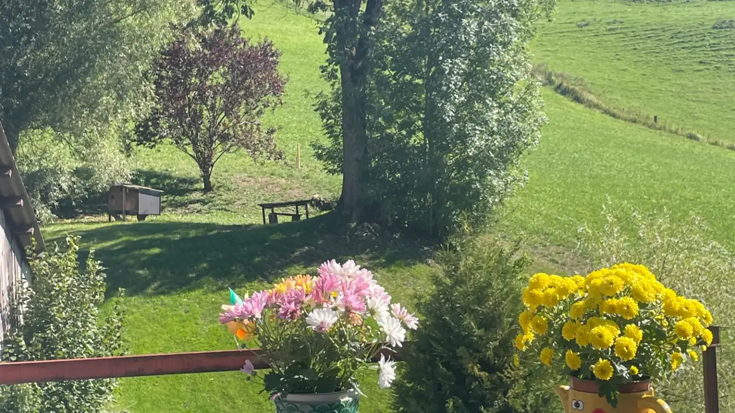 Appartamento in affitto - Riggisbergstrasse 17, 3155 Helgisried-Rohrbach - Foto 3