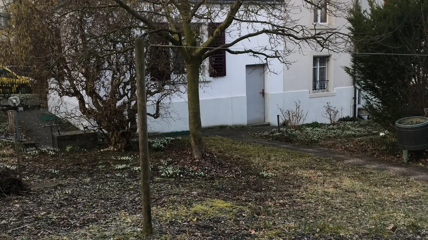 Appartamento in affitto - 8500 Frauenfeld - Foto 2