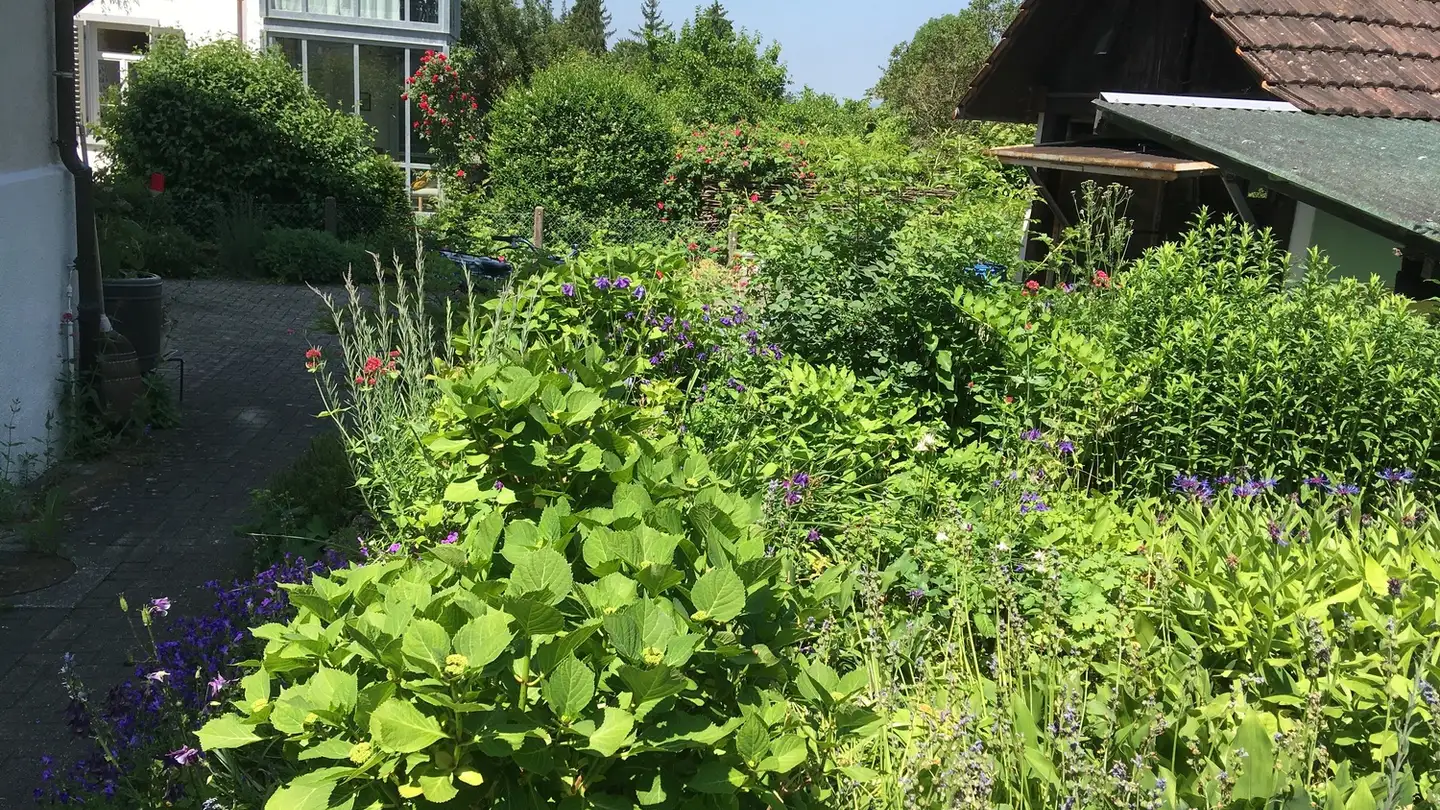 Appartamento in affitto - 8500 Frauenfeld - Foto 3