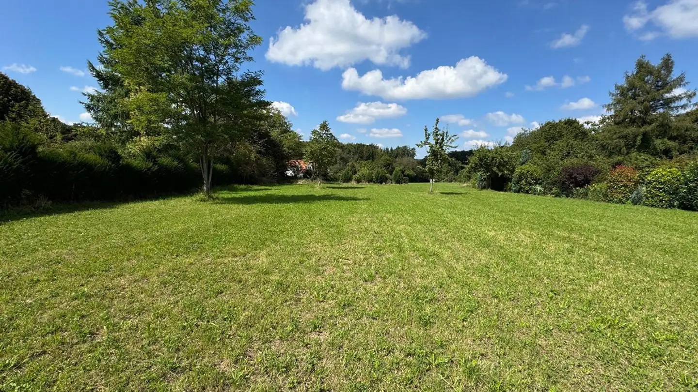 Terreno edificabile in vendita - 4146 Hochwald - Photo 2