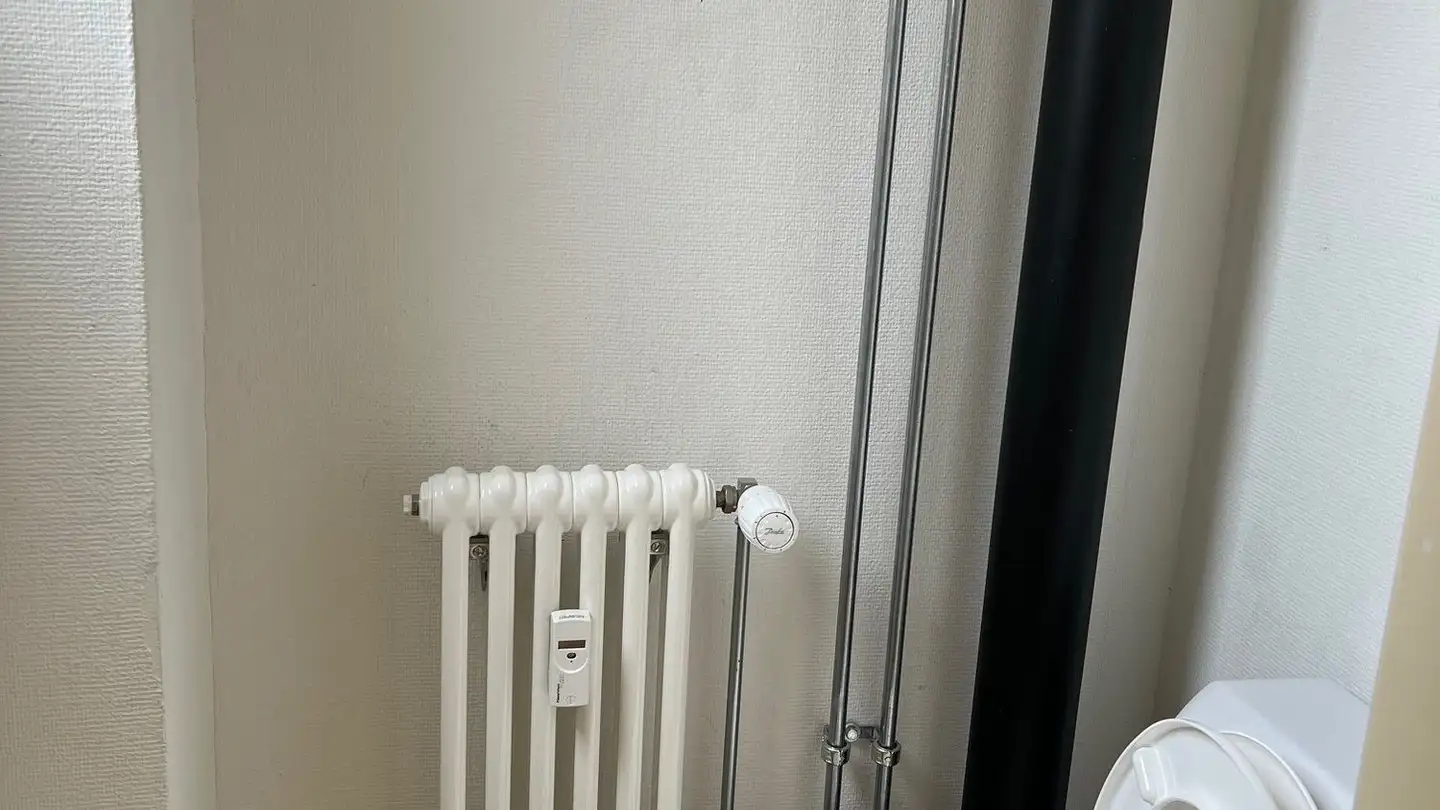Appartamento in affitto - Hüningerstrasse 66, 4056 Basel - Foto 4