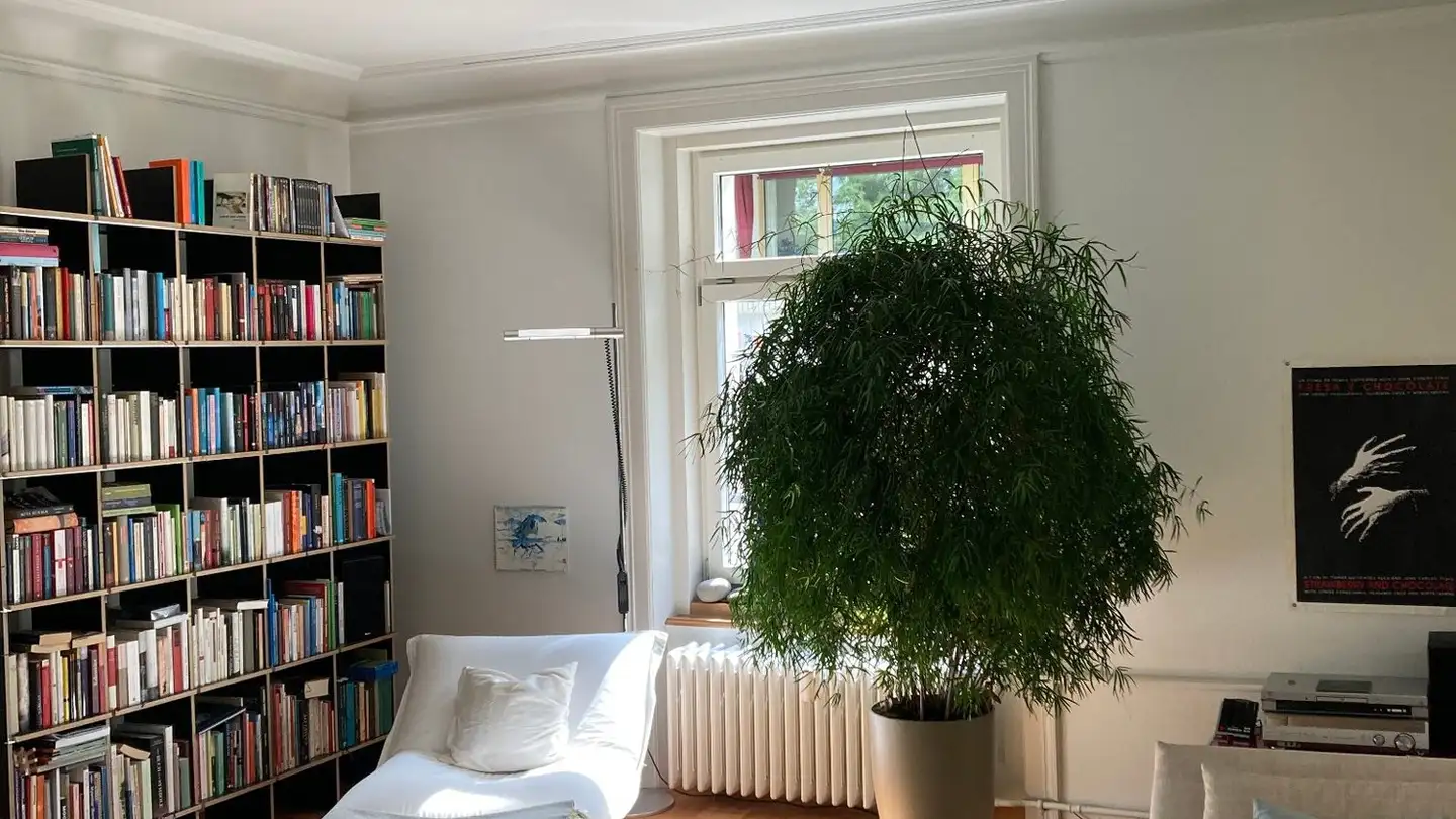 Stanza singola in affitto - Tödistrasse 8, 6003 Luzern - Foto 2