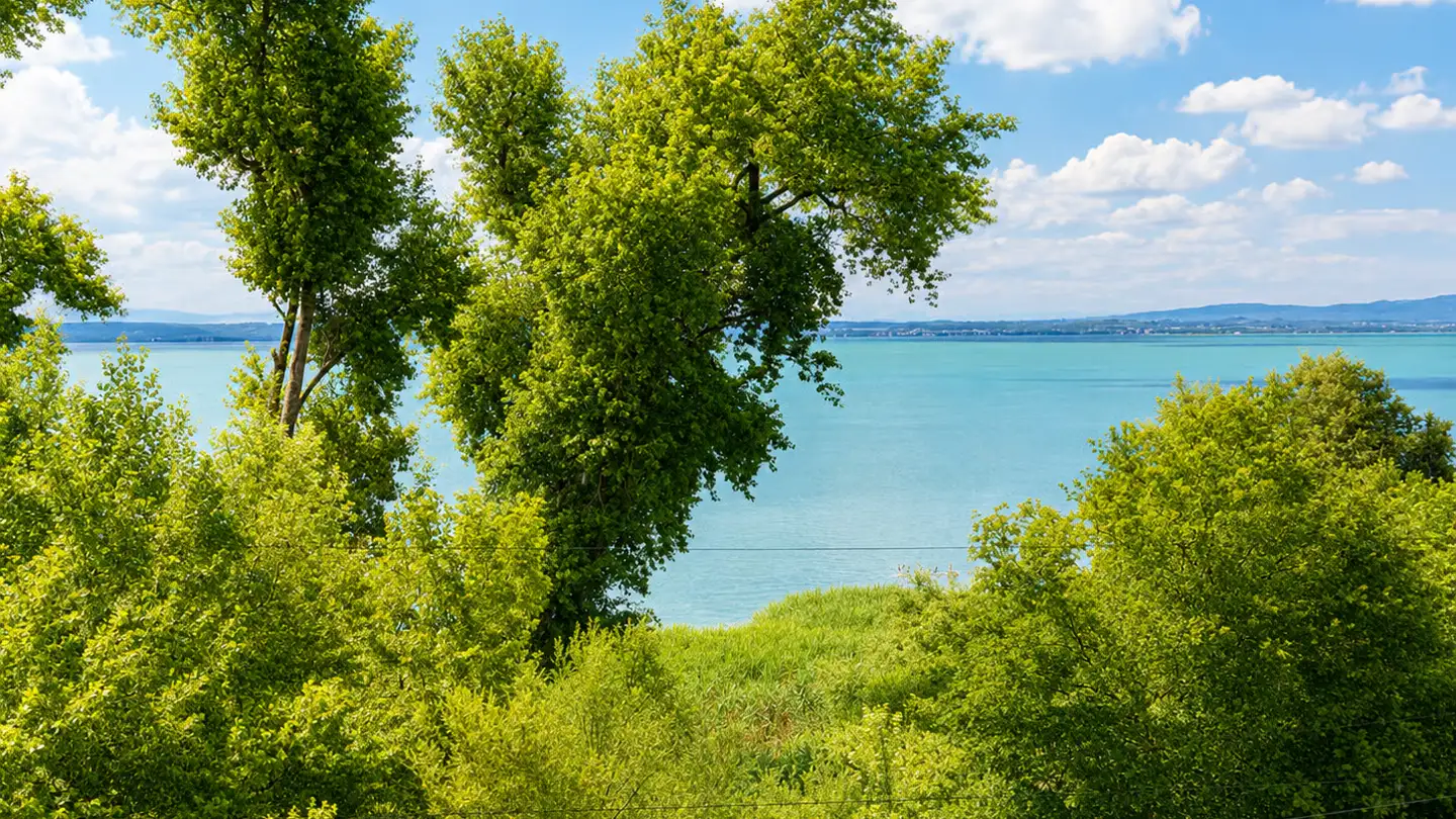 Penthouse for sale - 9320 Arbon