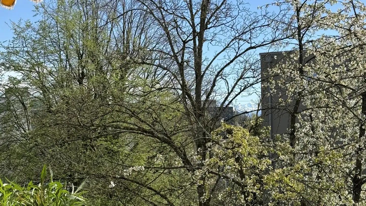 Appartement à louer - 8603 Schwerzenbach - Photo 4