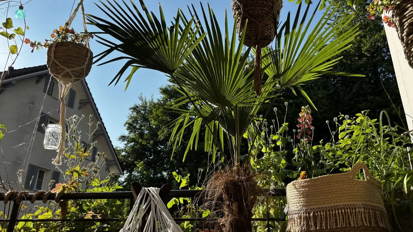 Stanza singola in affitto - 6006 Luzern - Photo 4