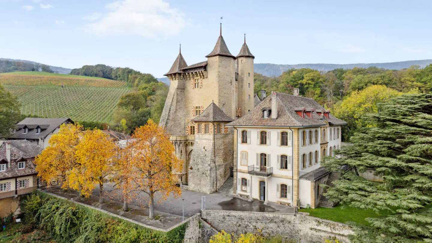 Commerciale in affitto - 2028 Vaumarcus - Foto 2