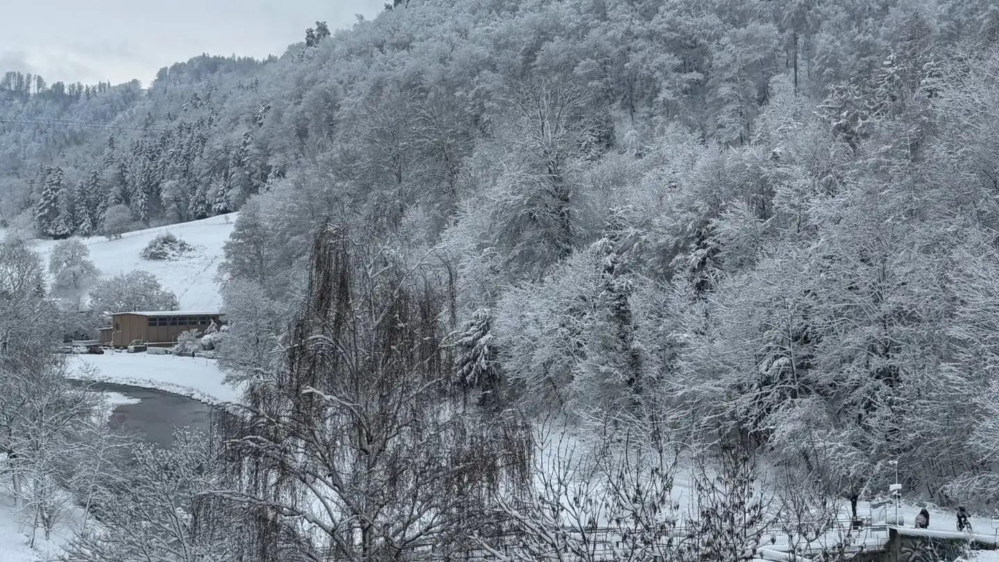 Appartement à louer - 8041 Zürich
