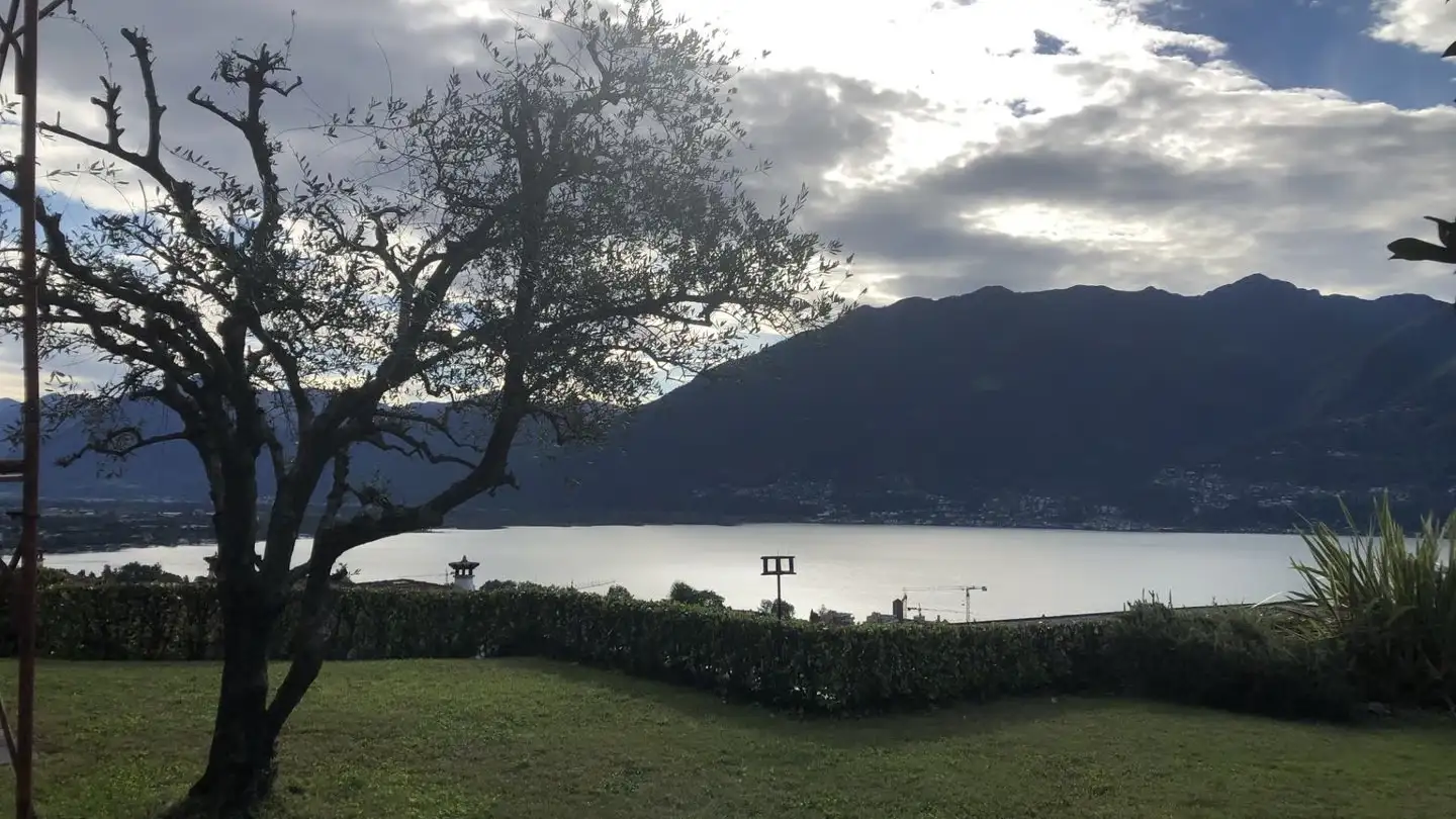 Single house for rent - Vicolo Motto Di Lena 13, 6648 Minusio - Photo 3