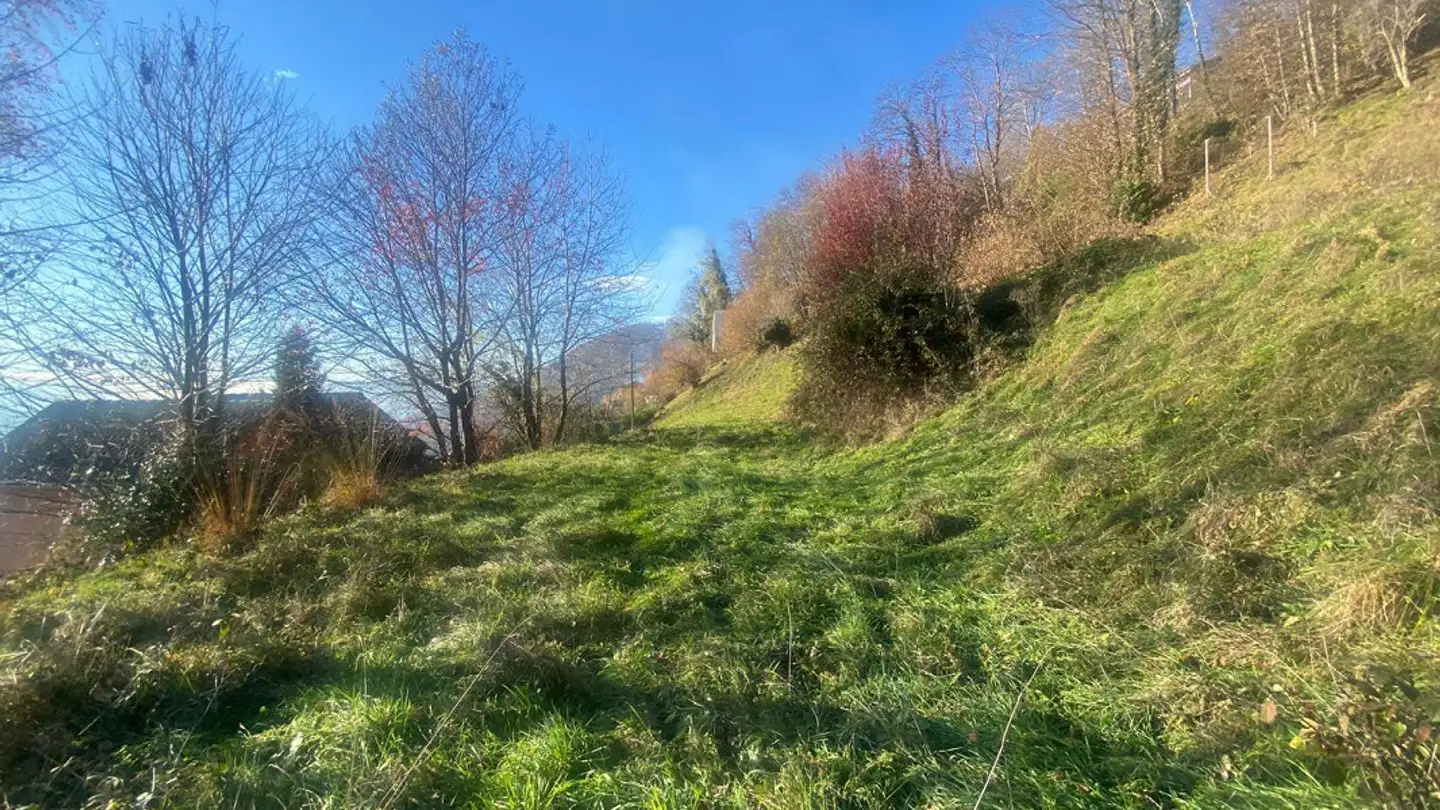 Terrain constructible à vendre - 6936 Cademario - Photo 2