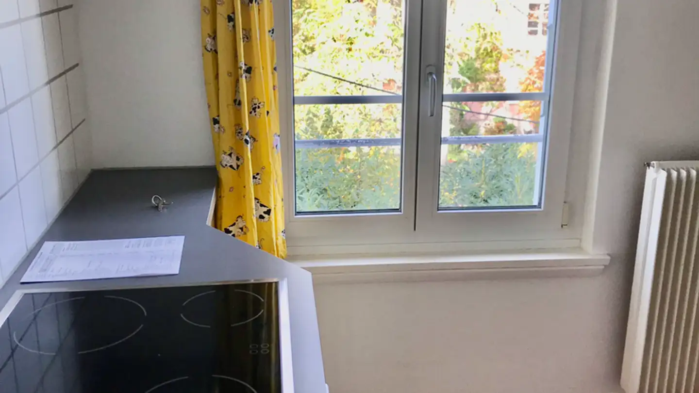 Apartment for rent - 3600 Thun - Photo 3