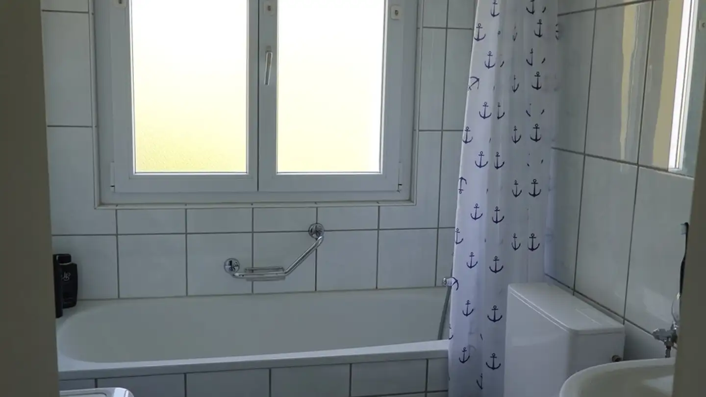 Wohnung mieten - Kofer 237, 5705 Hallwil - Foto 2