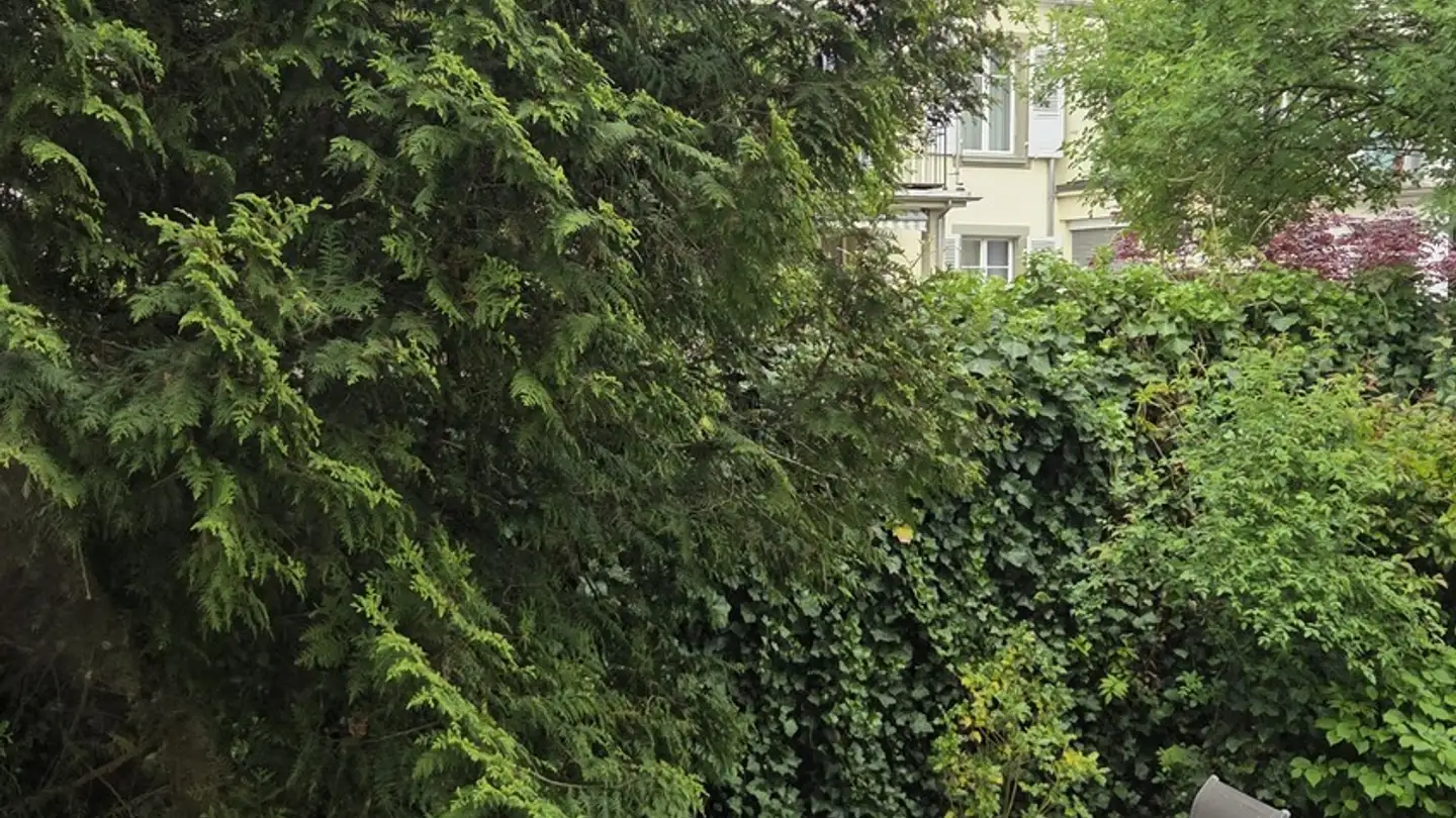 Appartement à louer - Hallwylstrasse, 3005 Bern - Photo 3