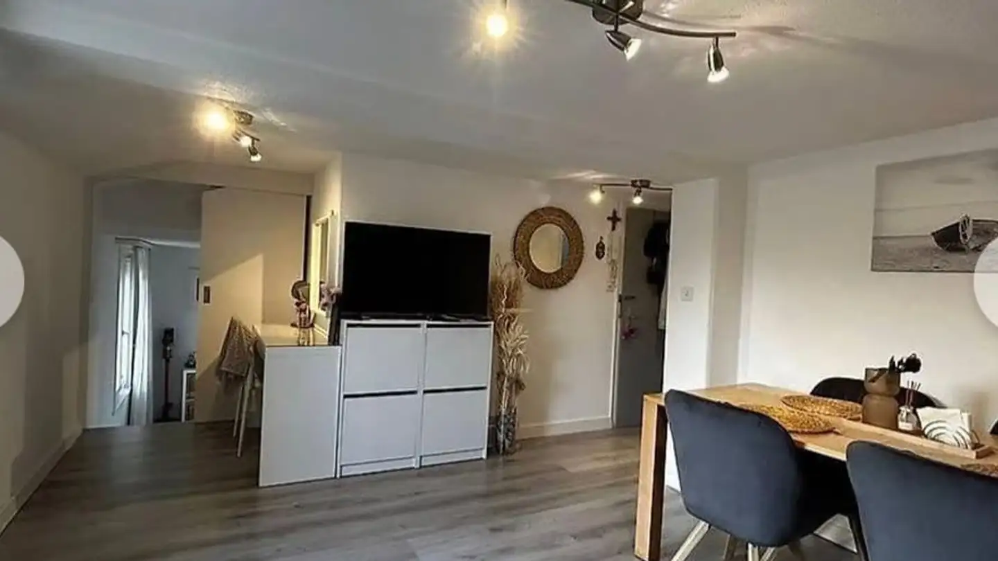 Apartment for rent - 8716 Schmerikon