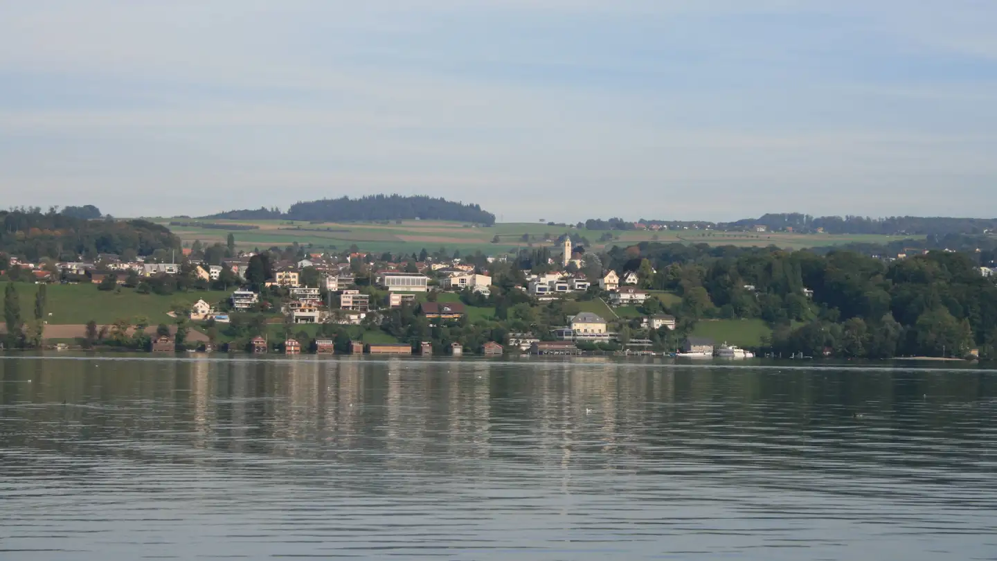 Maison individuelle à vendre - Im Baumgarten 11, 5616 Meisterschwanden - Photo 3