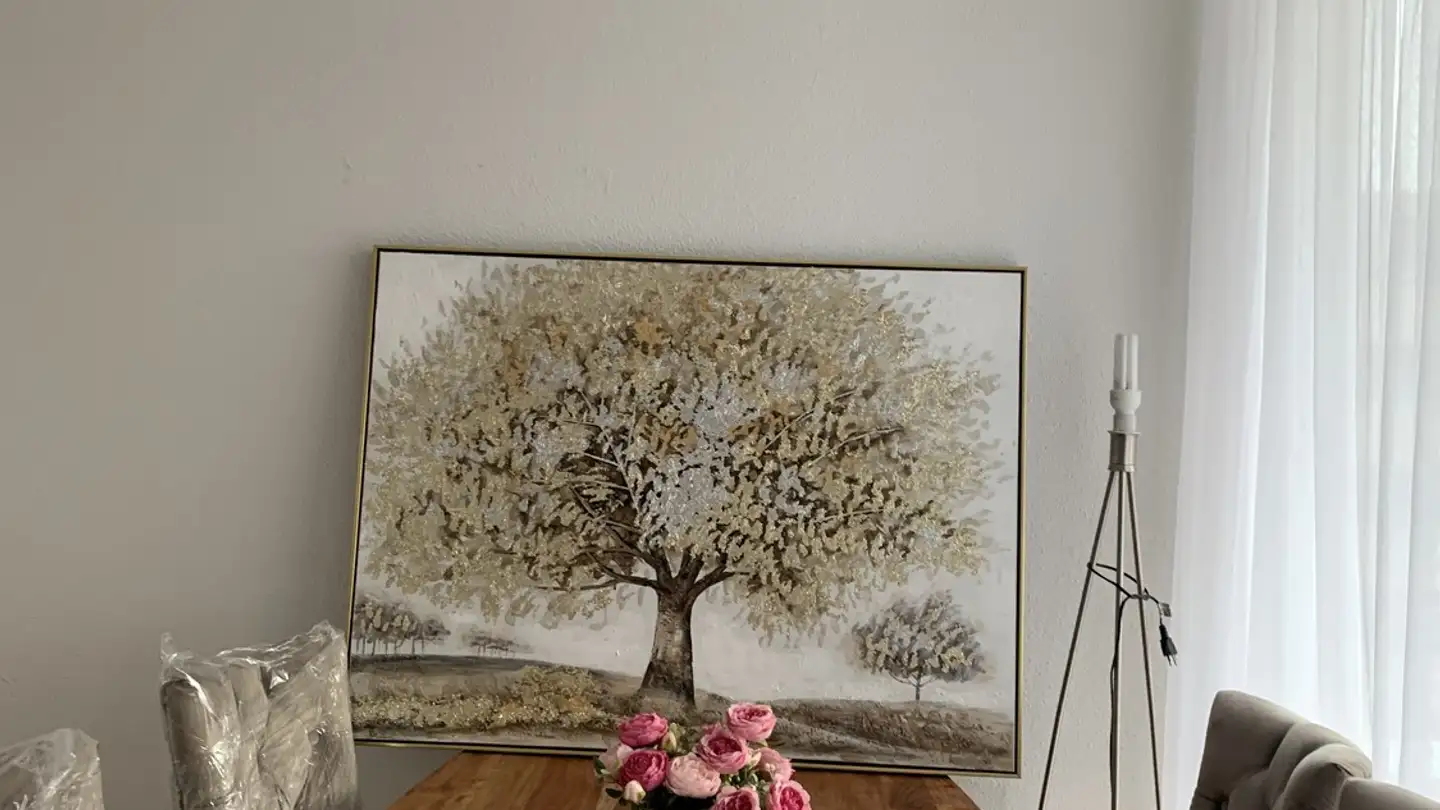 Appartamento in affitto - 8953 Dietikon