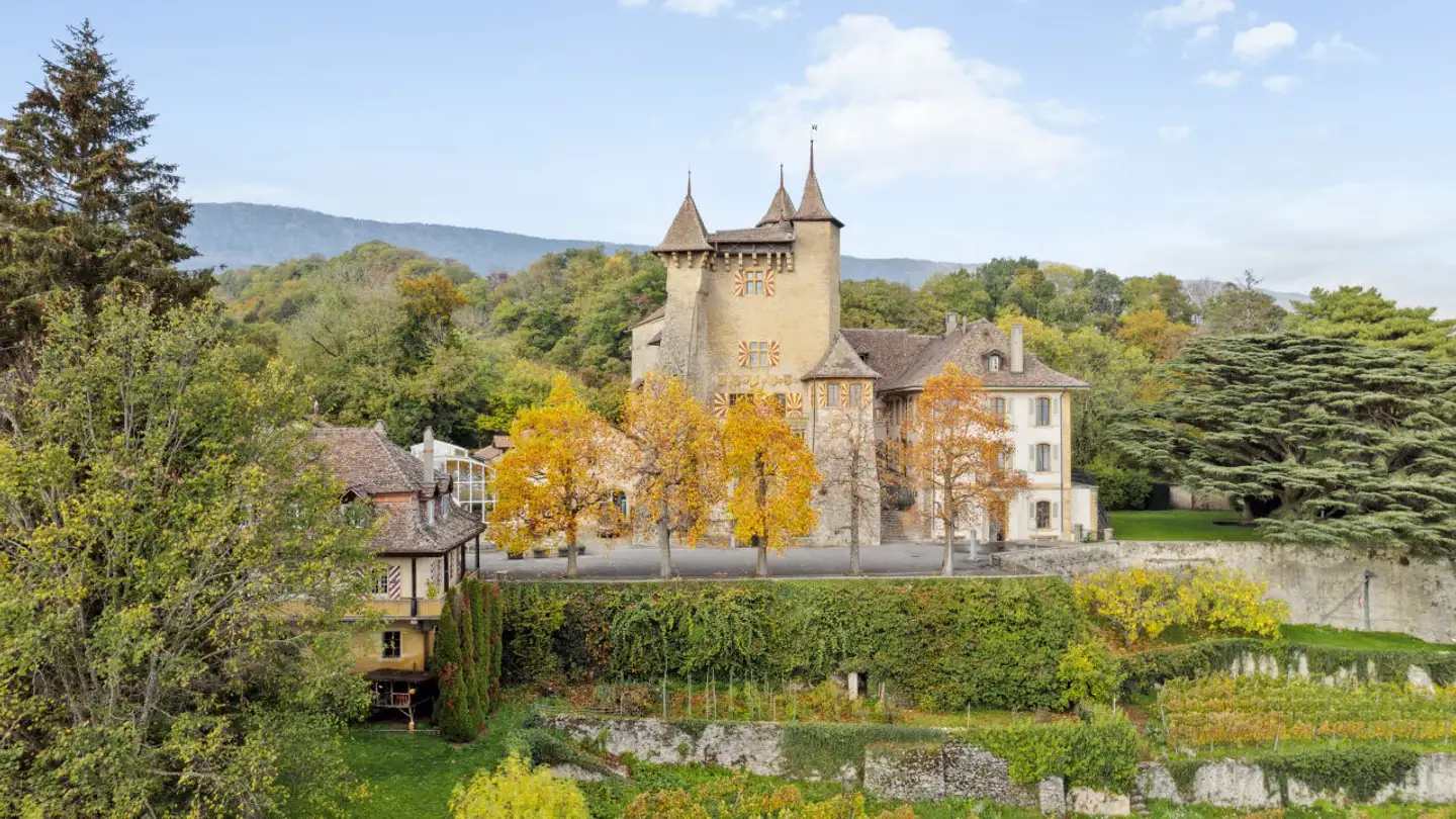 Commerciale in affitto - 2028 Vaumarcus - Foto 2