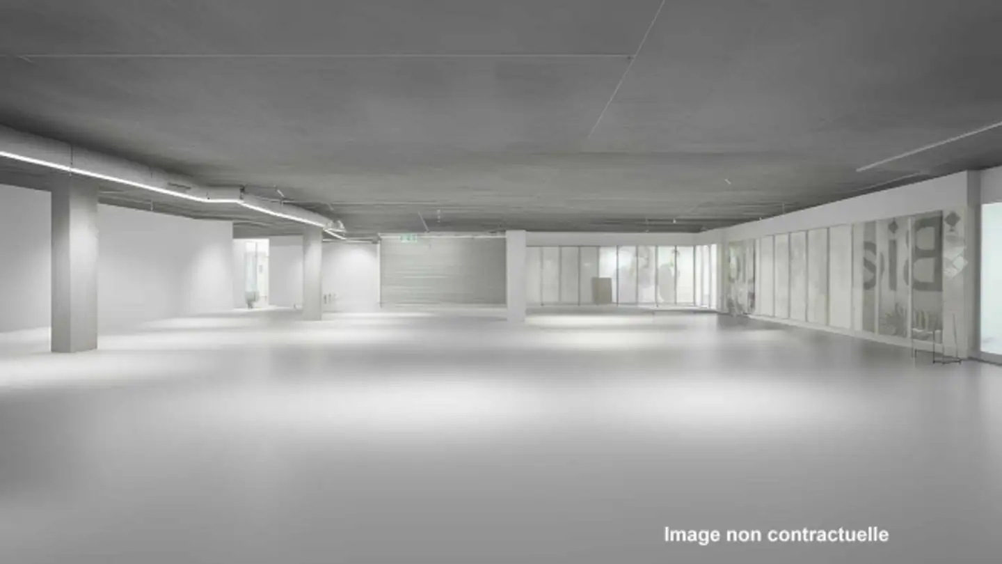 Appartamento in affitto - Route De Meyrin 177, 1217 Meyrin - Photo 2