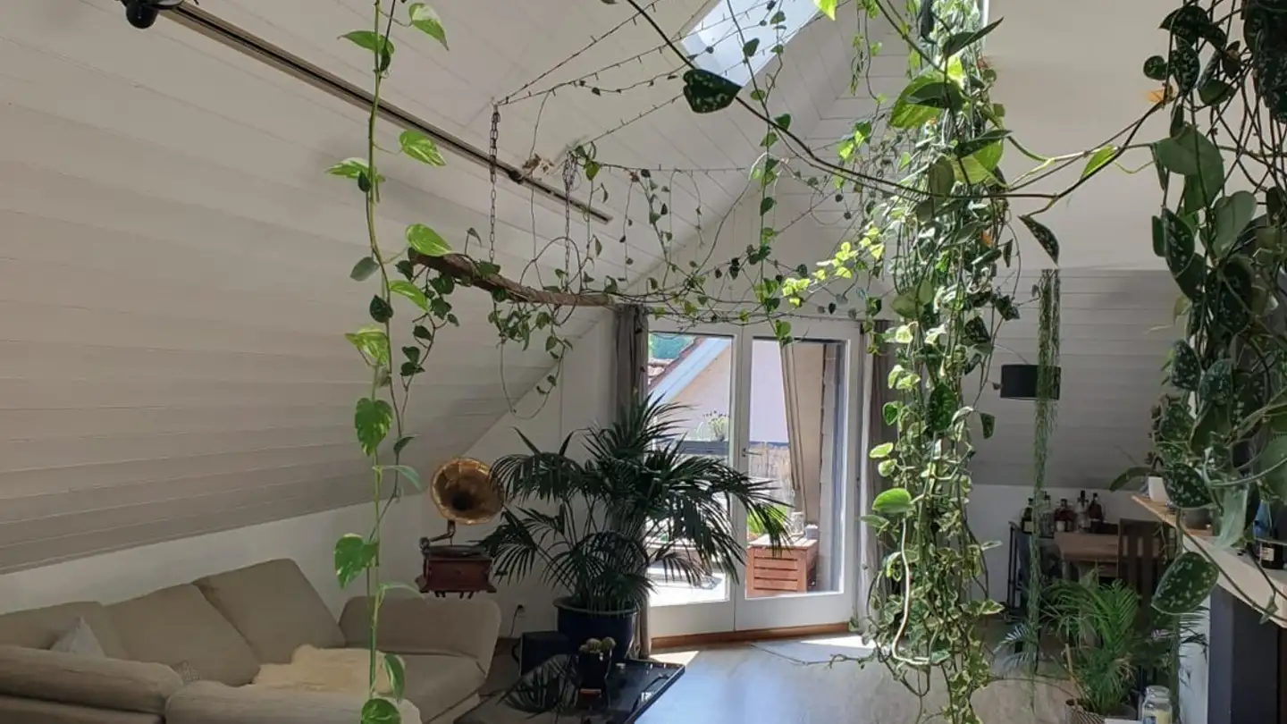 Single room for rent - Voltastrasse 38, 6005 Luzern