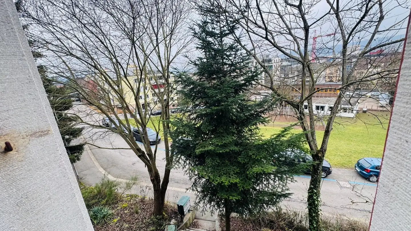 Chambre à louer - Zwiegartenstrasse 18, 8952 Schlieren - Photo 2