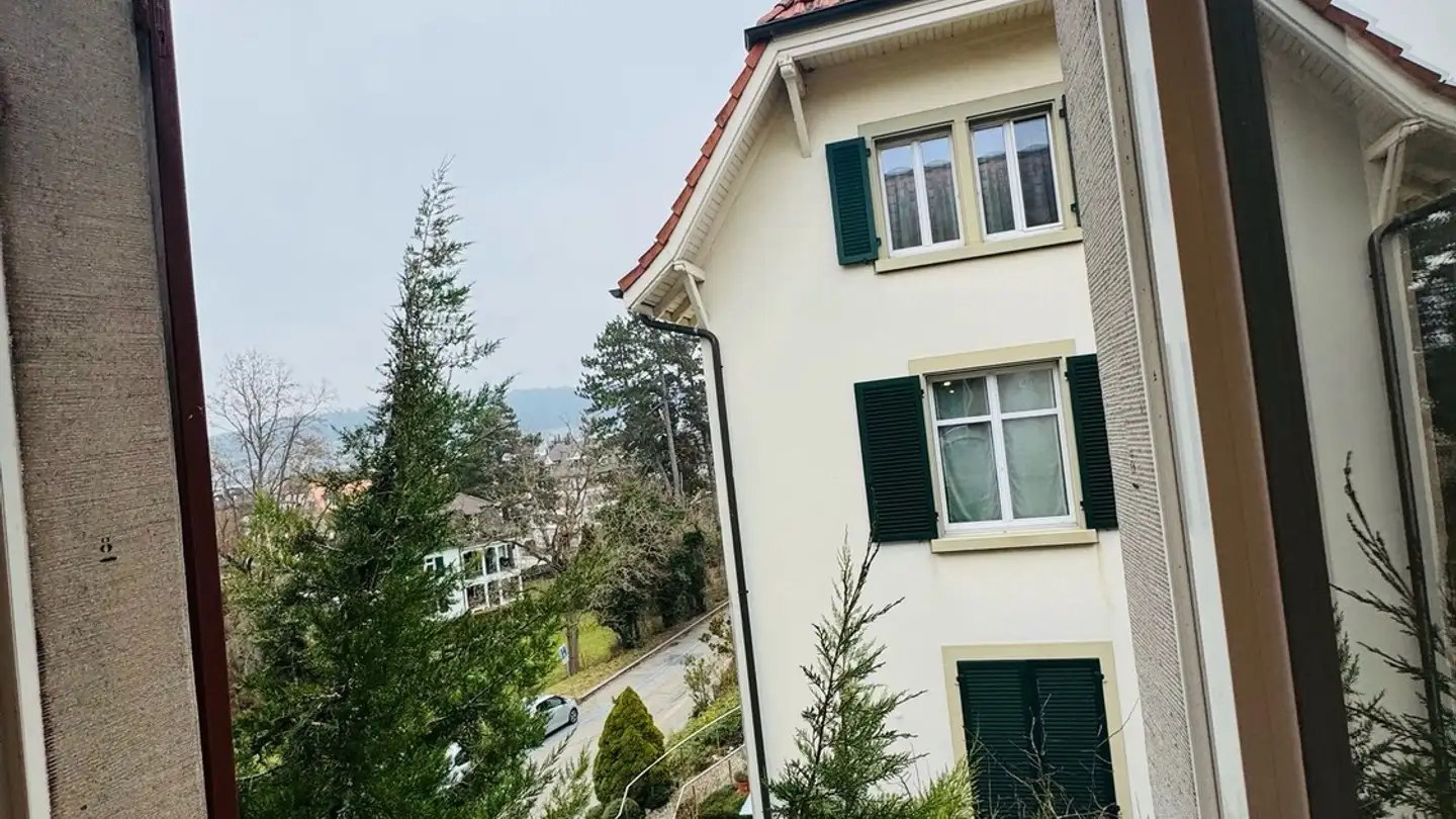 Chambre à louer - Zwiegartenstrasse 18, 8952 Schlieren - Photo 3