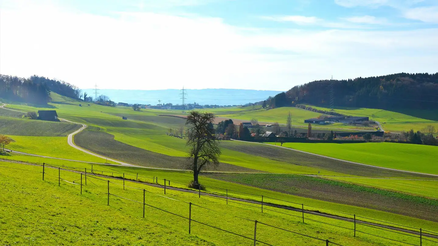 Appartamento in vendita - Grossacherstrasse 29, 8904 Aesch ZH - Foto 3