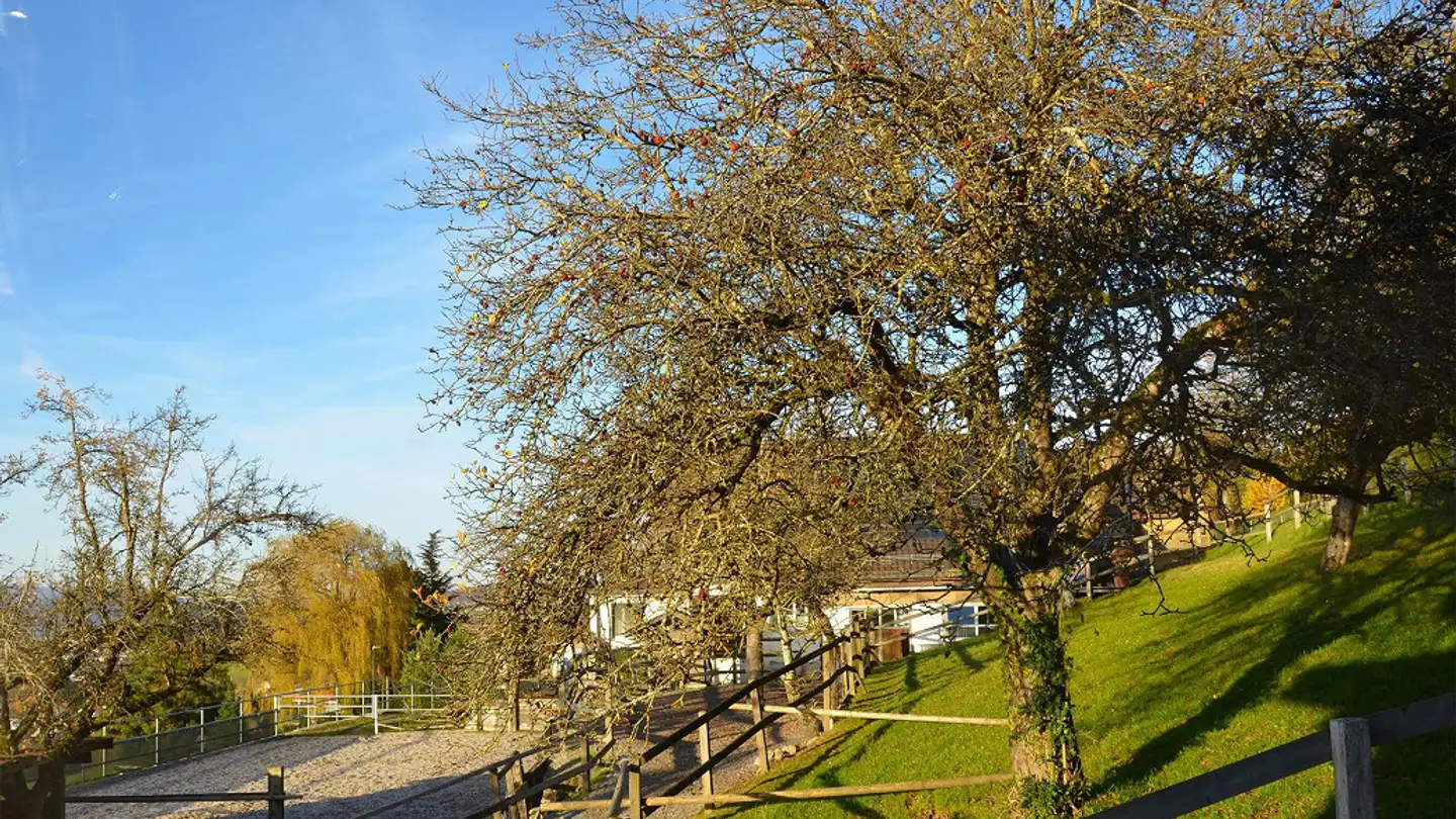 Appartamento in vendita - Grossacherstrasse 29, 8904 Aesch ZH - Foto 4