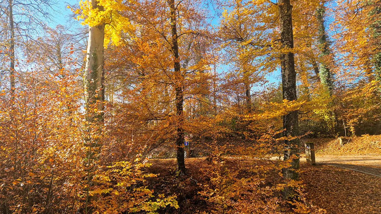 Appartamento in vendita - 1036 Sullens - Foto 2