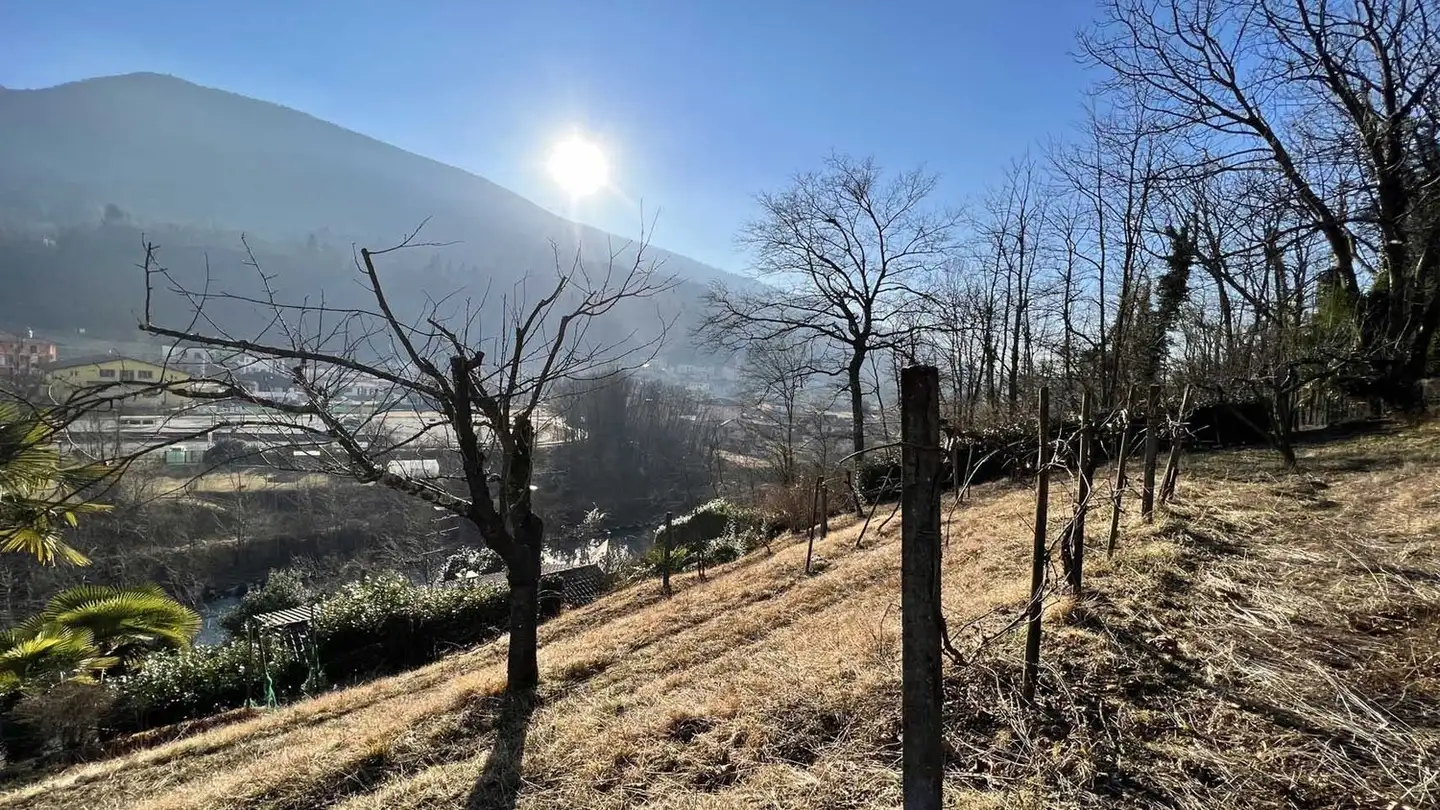 Terrain commercial à vendre - Via Monteggio, 6998 Monteggio