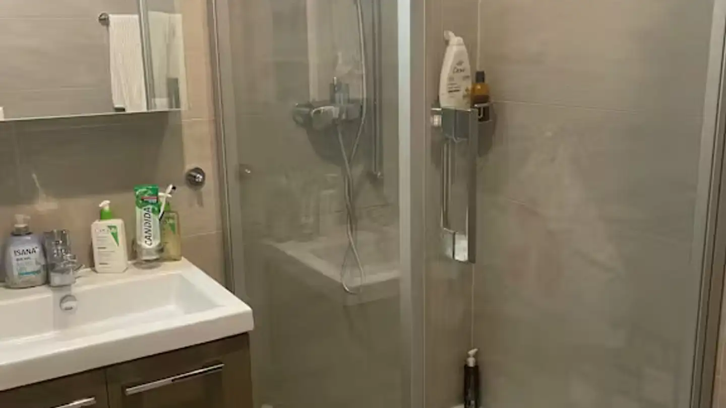 Single house for rent - Route De Collex, 1239 Collex - Photo 4