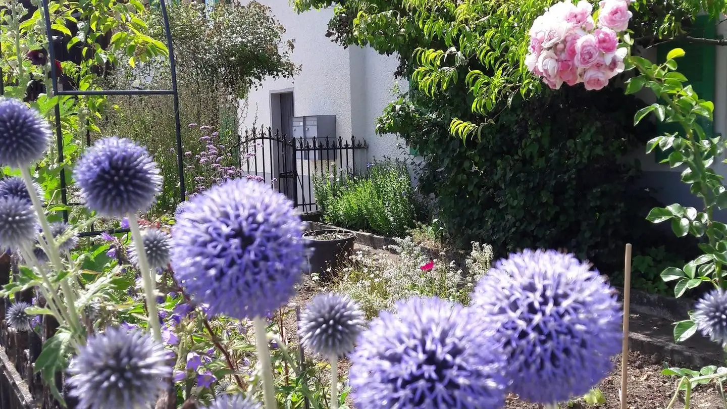 Apartment for rent - La Grenière 195, 2944 Bonfol