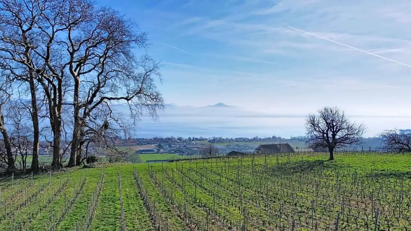 Single house for sale - 1172 Bougy-Villars