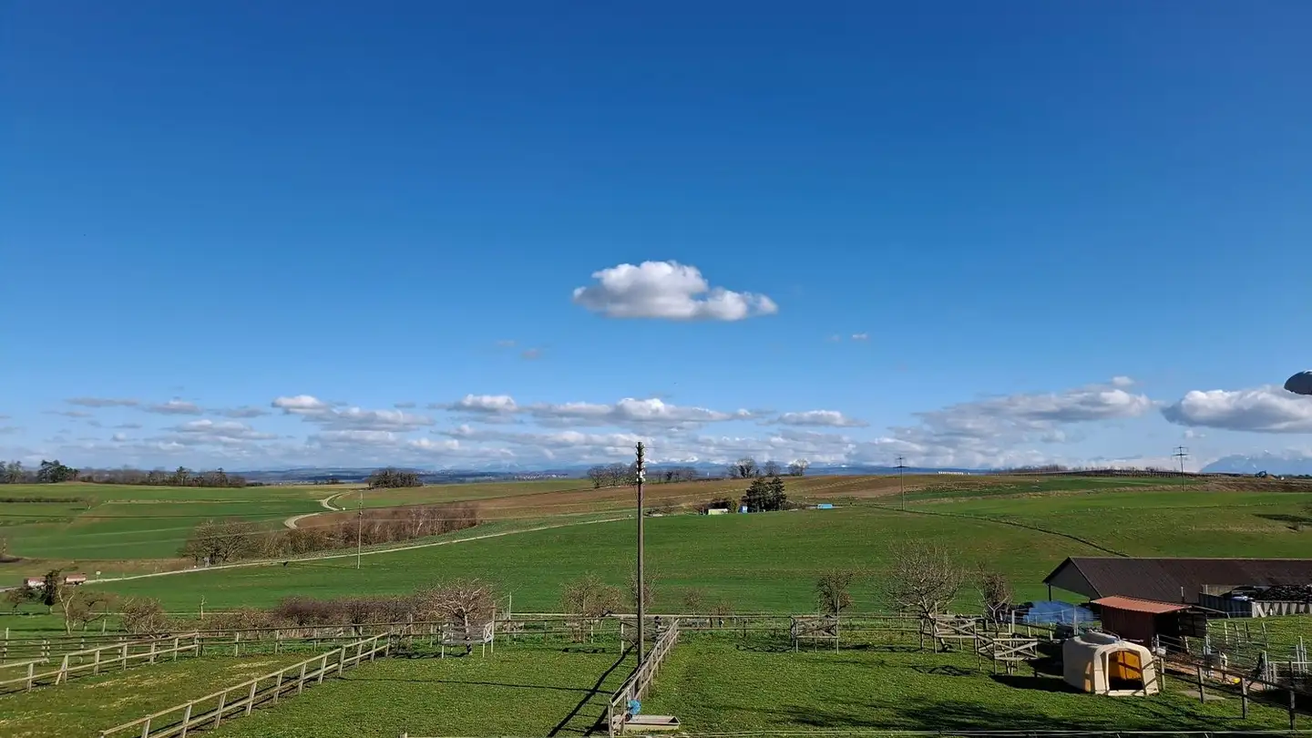 Wohnung mieten - 1353 Bofflens