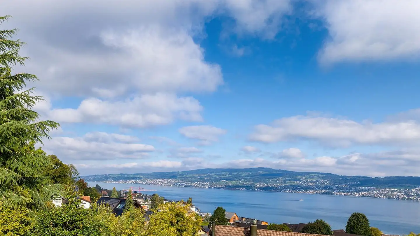 Villa in vendita - 8820 Wädenswil - Photo 4