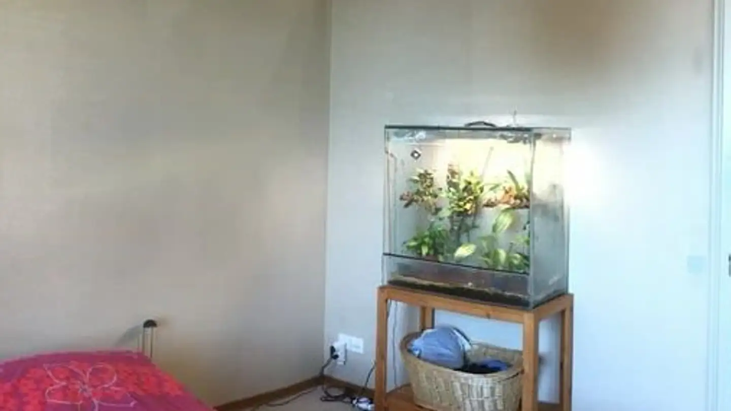 Apartment for rent - Chemin De La Baume, 2533 Evilard - Photo 4