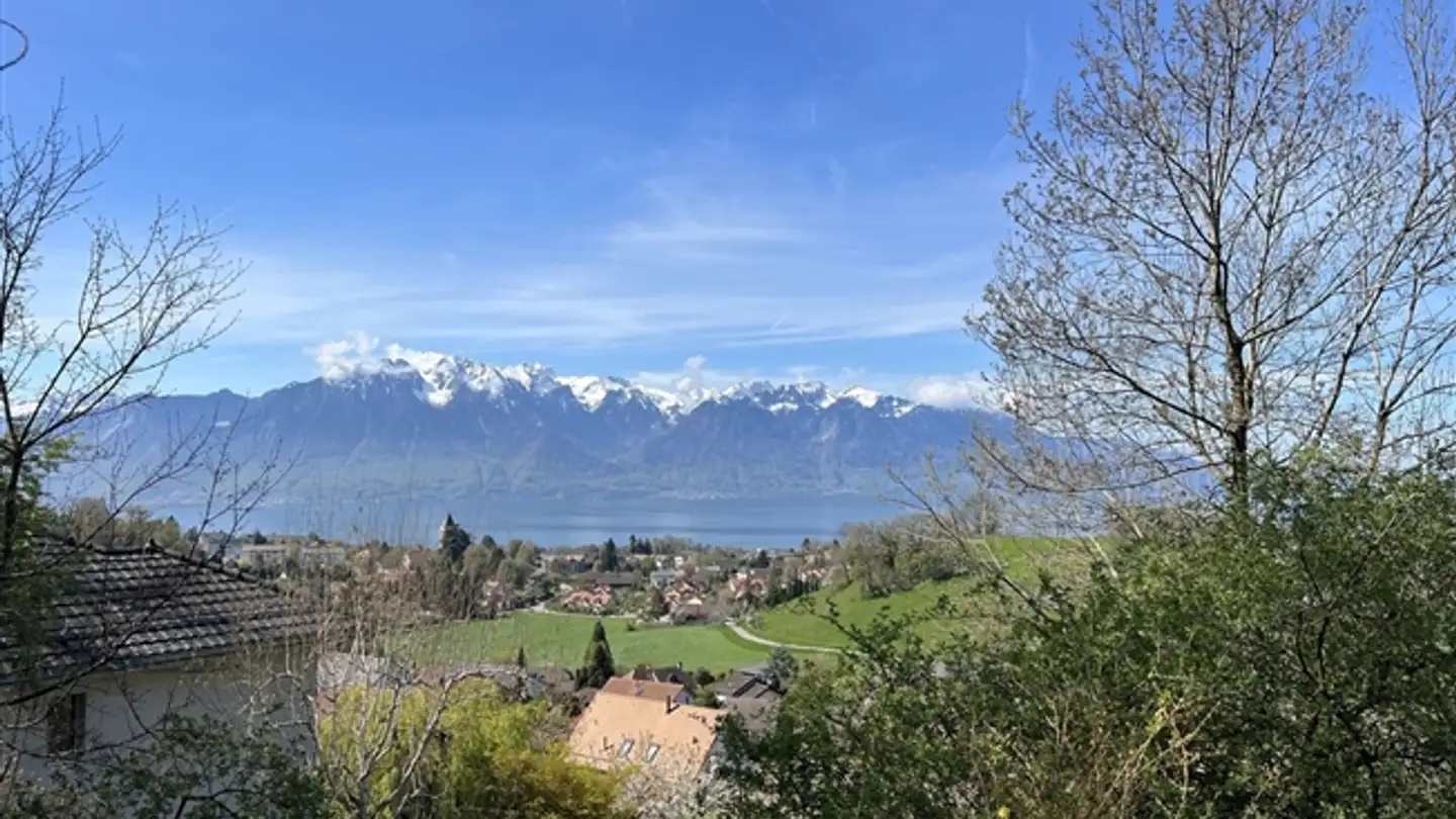 Wohnung kaufen - 1806 St-Légier-La Chiésaz