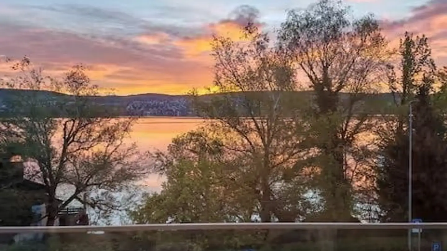 Stanza singola in affitto - 8802 Kilchberg ZH - Foto 4