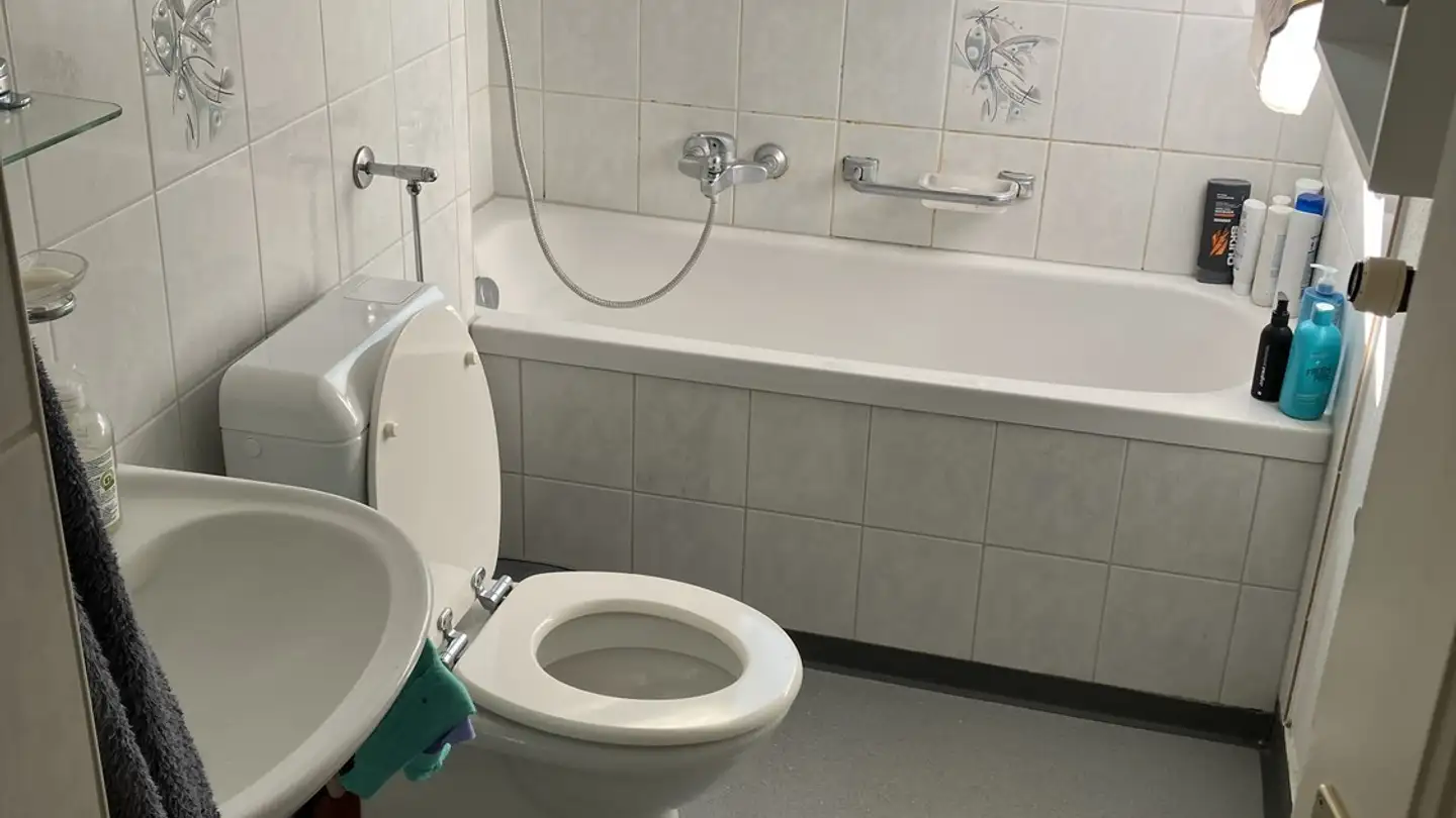 Stanza singola in affitto - Gubelstrasse 29, 8050 Zürich