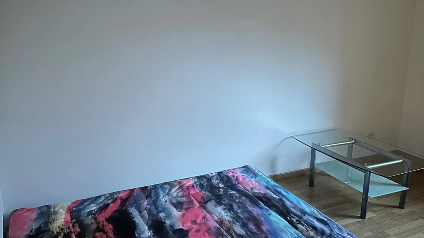 Single room for rent - 8810 Horgen - Photo 2